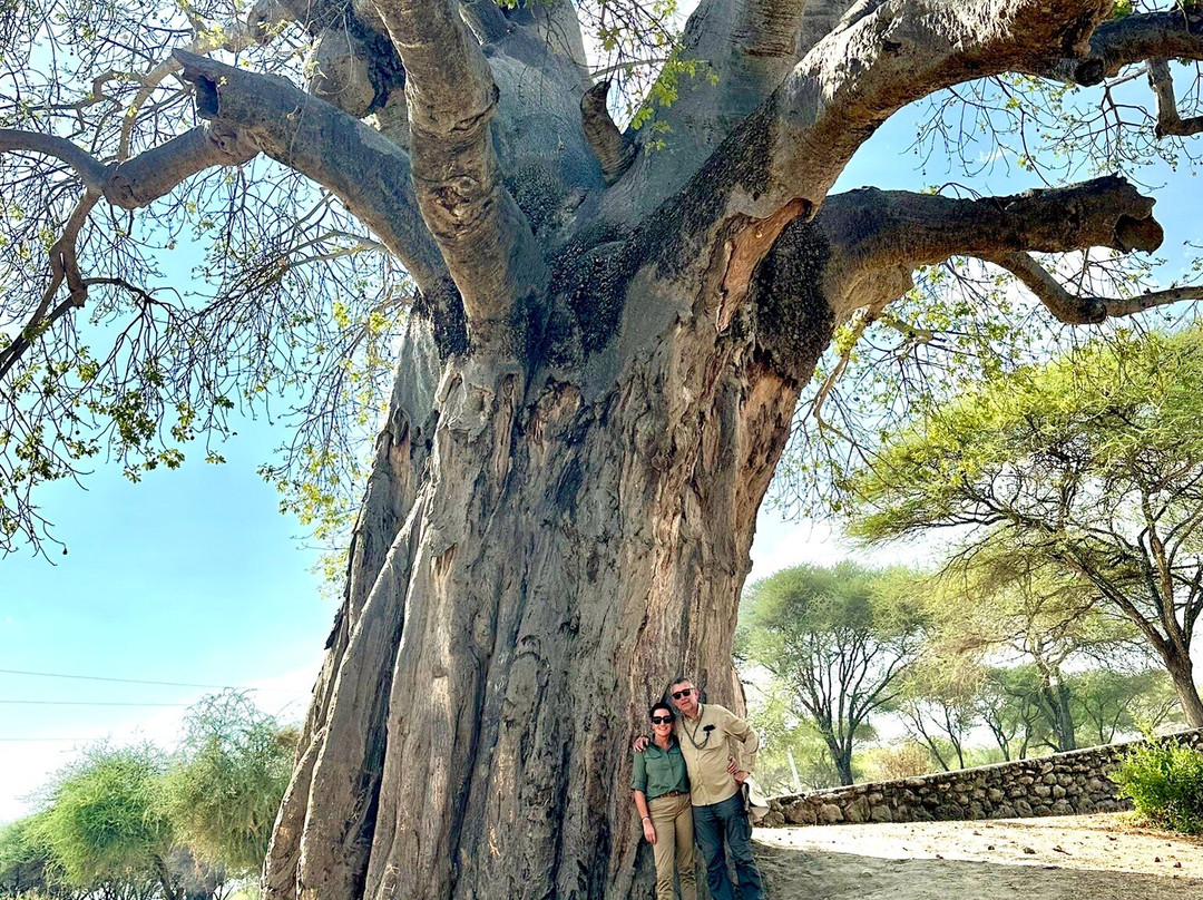 African Scenic Safaris-莫西必去景点