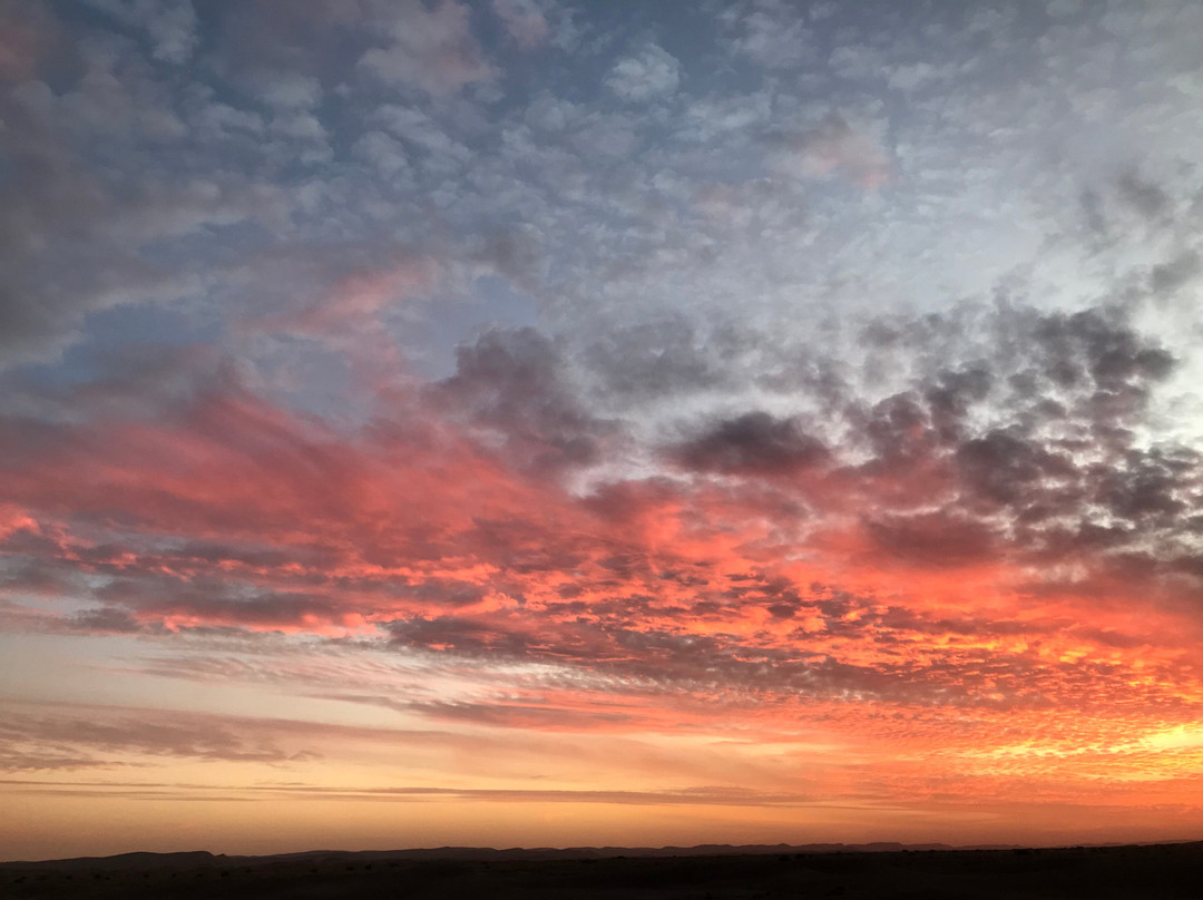 Mélodie du désert-迈哈米德必去景点