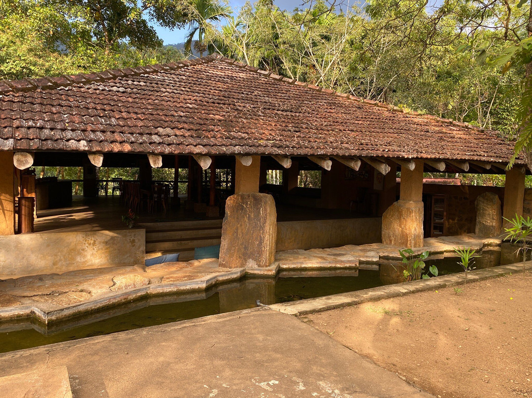 Rainforest Edge主图