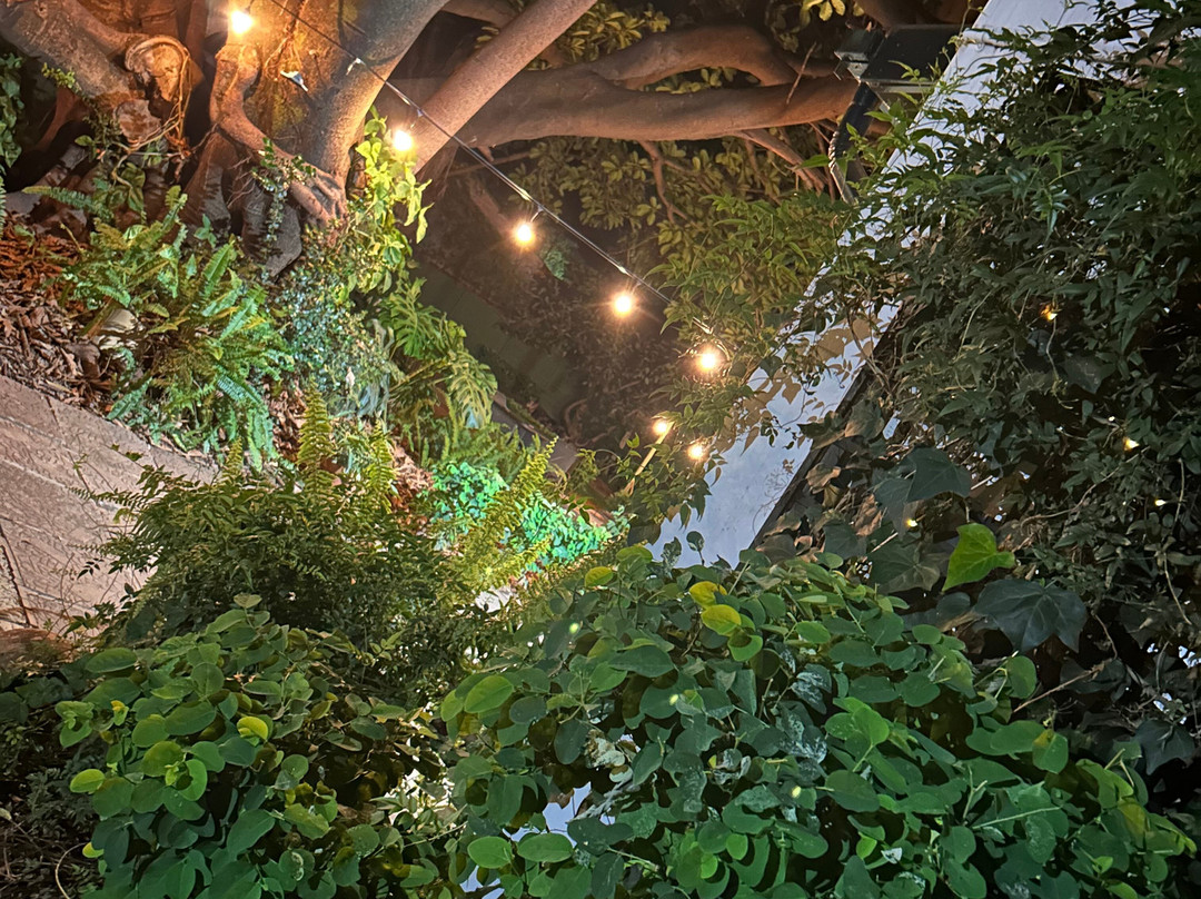 La Bella B&B Under The Fig Tree主图