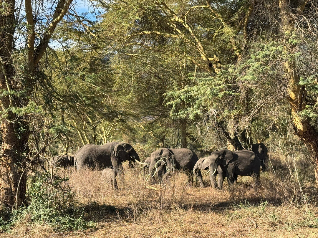 Tanzania Specialist-阿鲁沙必去景点