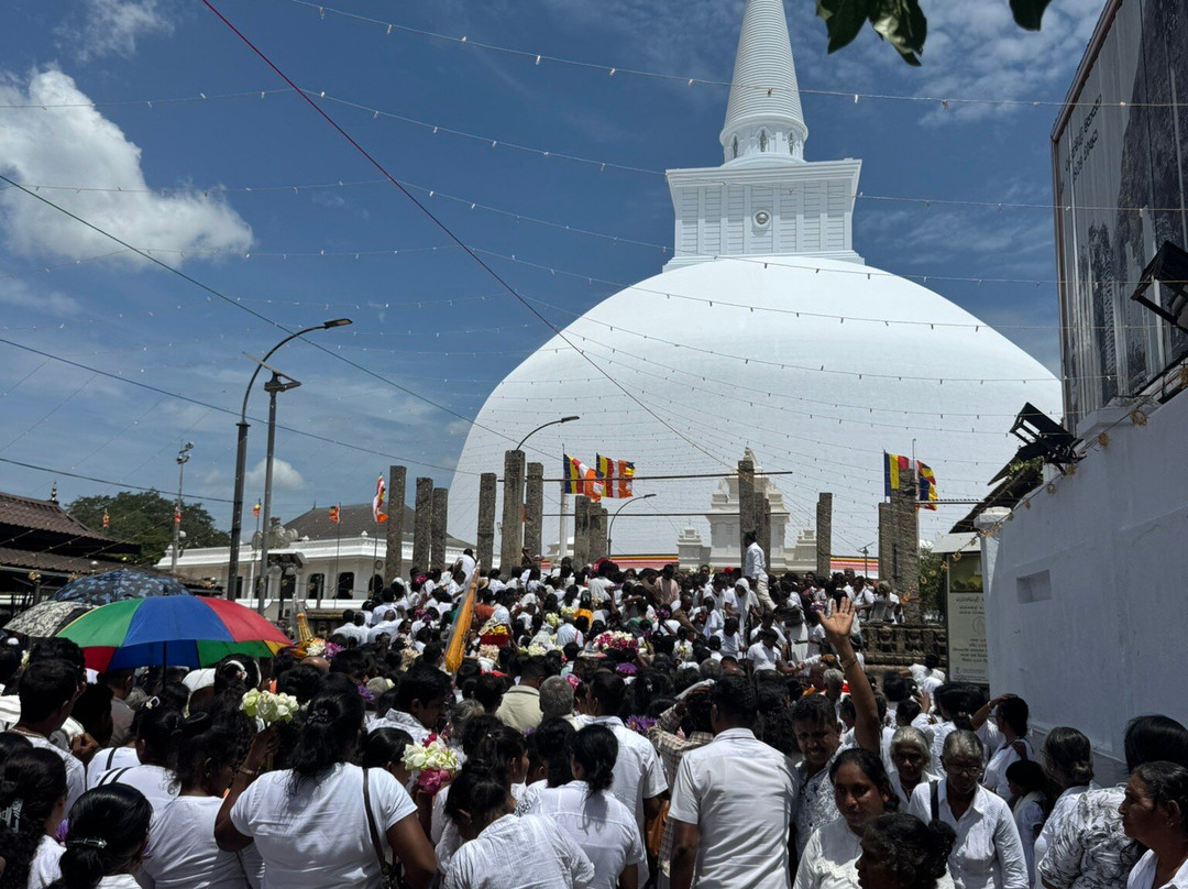 Mon Beau Trip-Falicon必去景点