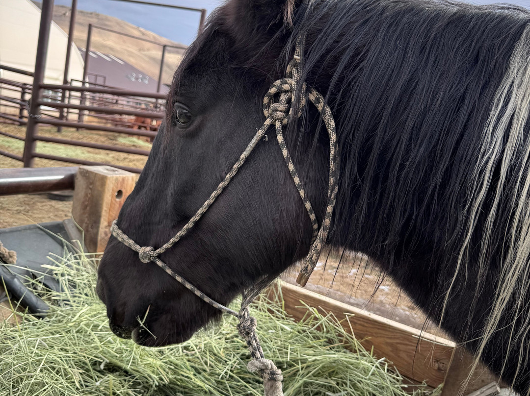 C Lazy U Ranch主图