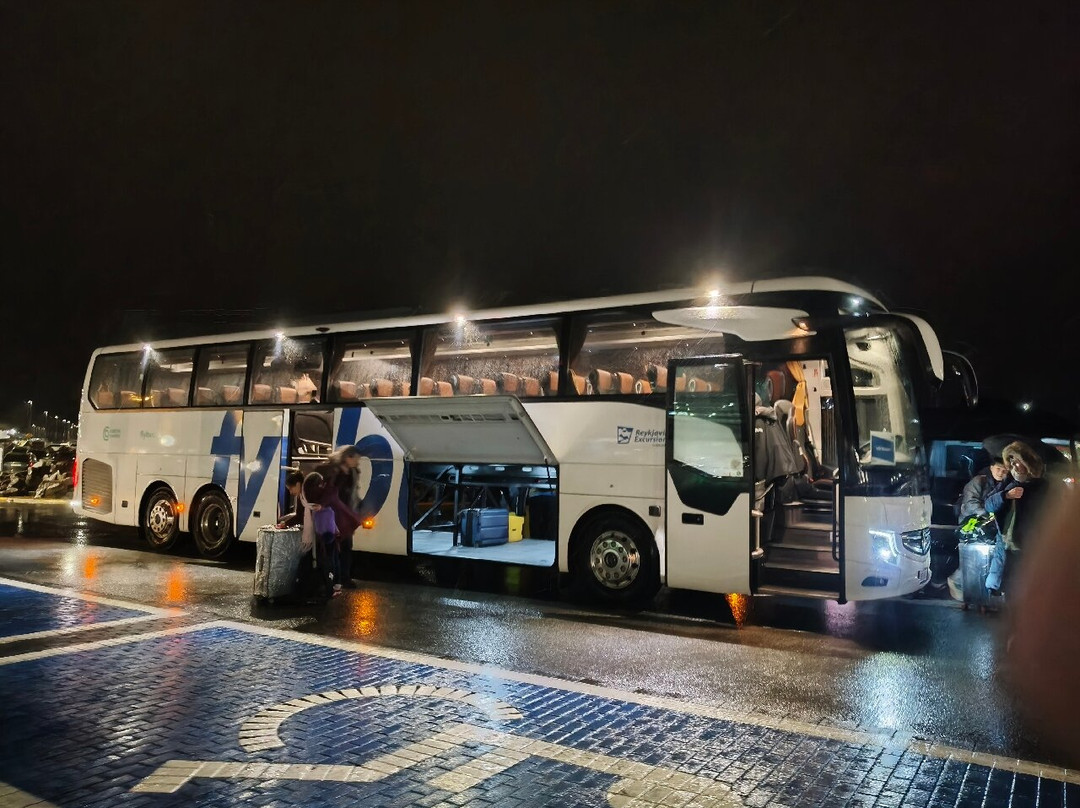 Flybus Airport Transfer-雷克雅未克必去景点