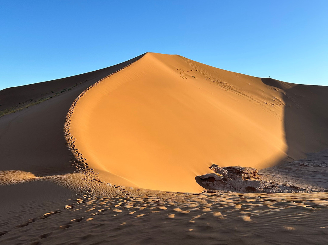 Desert Maroc Tours - Day Tours-扎古拉必去景点