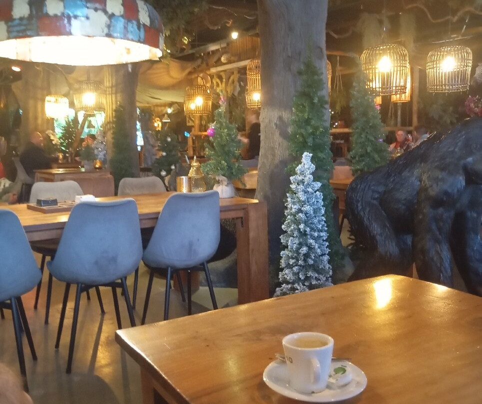 Avonturia De Vogelkelder-海牙必去景点