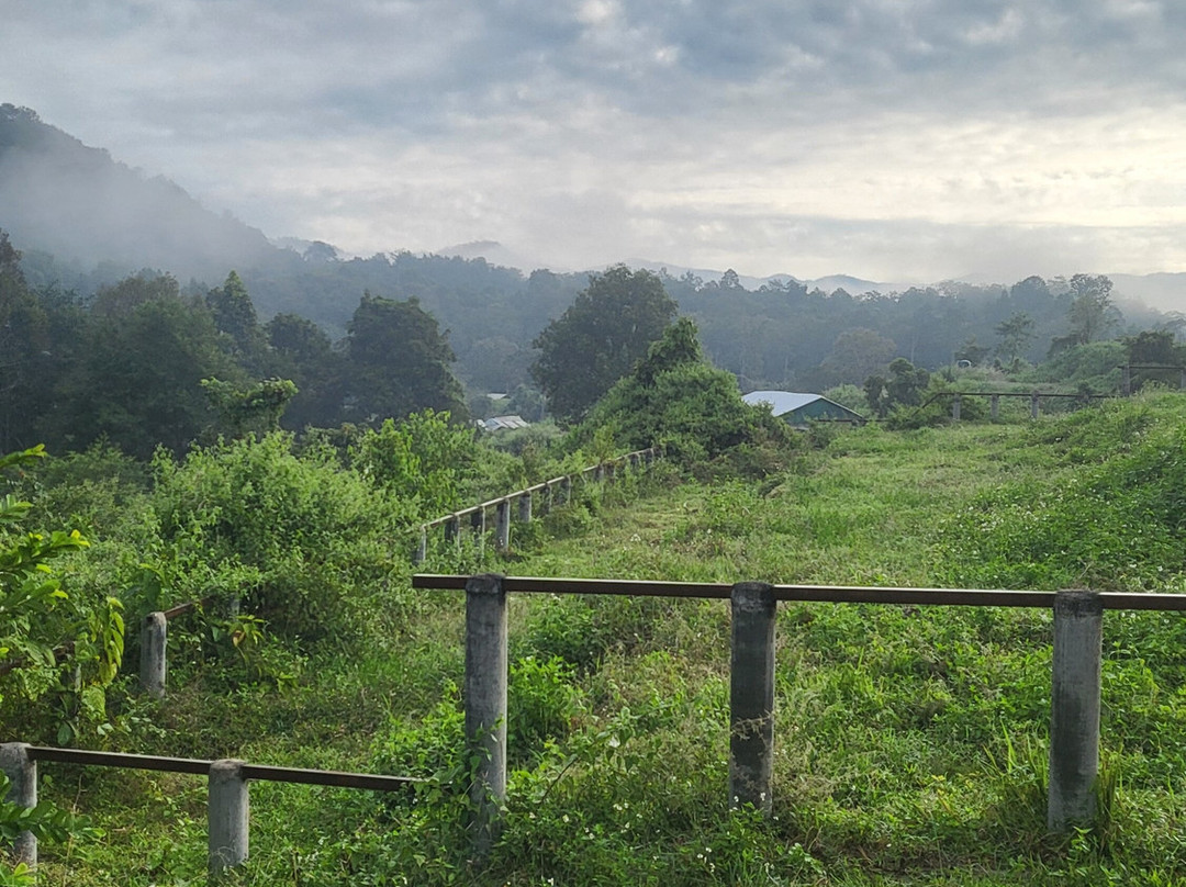 Chailai Orchid-清迈必去景点