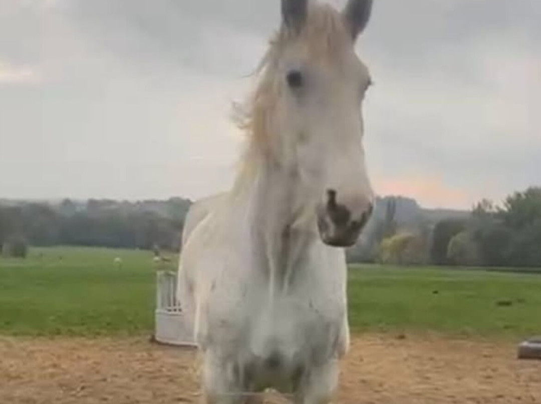 Cannon Hall Farm-Cawthorne必去景点