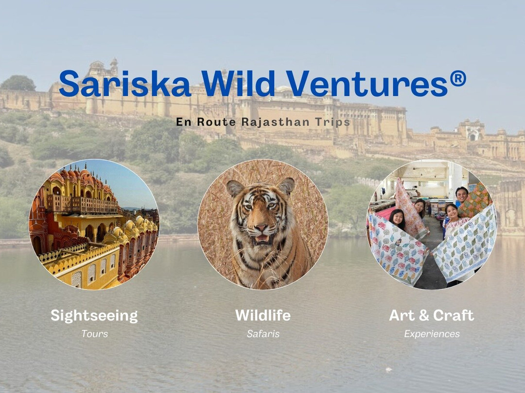 Sariska Wild Ventures-斋蒲尔必去景点