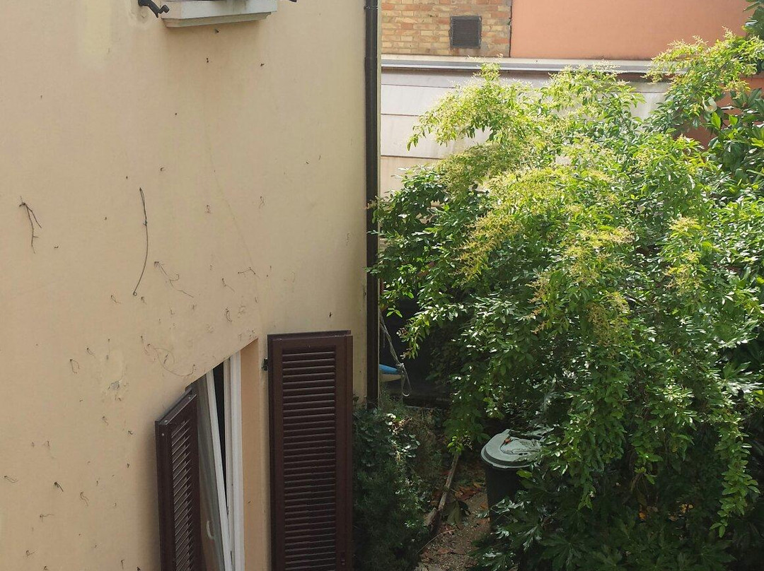 B & B Lord Byron主图