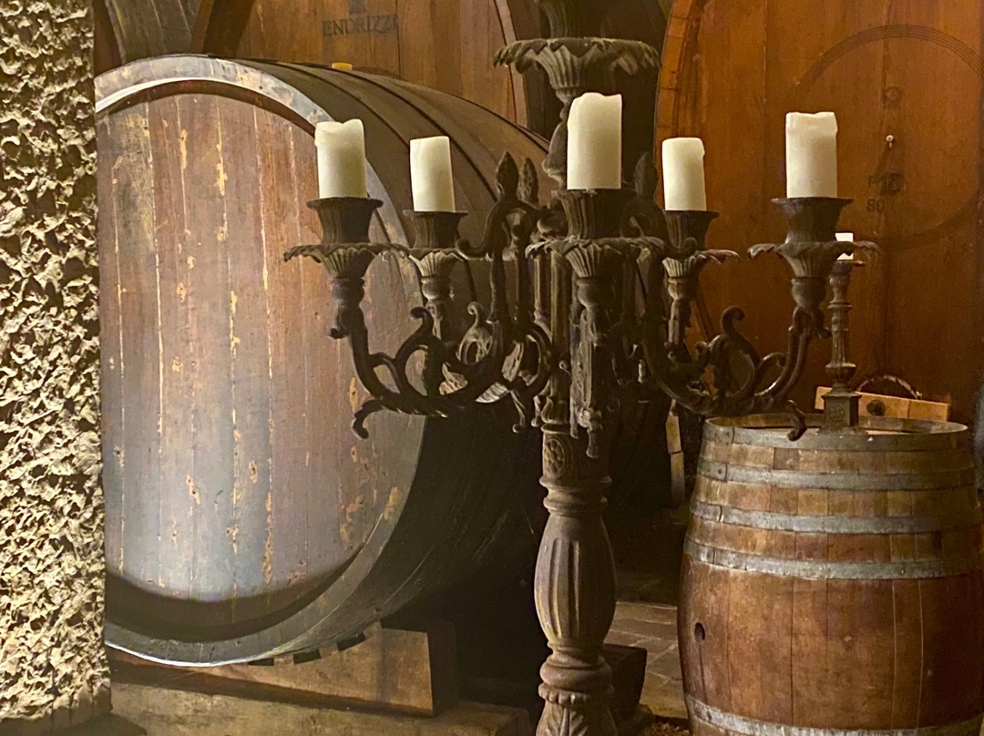 Endrizzi-San Michele all'Adige必去景点