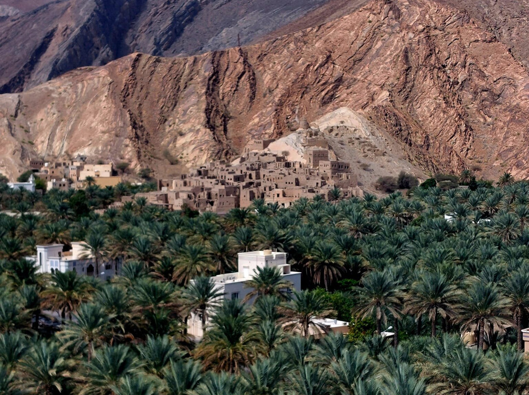 Desert Camels Adventure Tours-尼日瓦必去景点