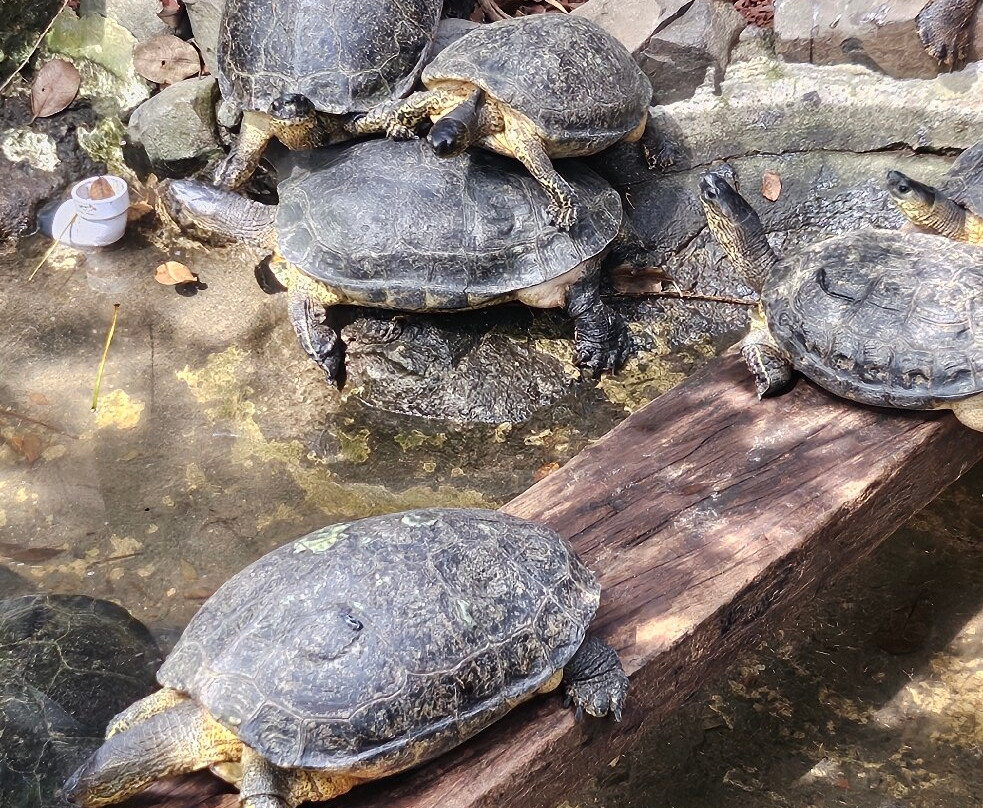 Refugio Animal De Costa Rica-圣安娜必去景点