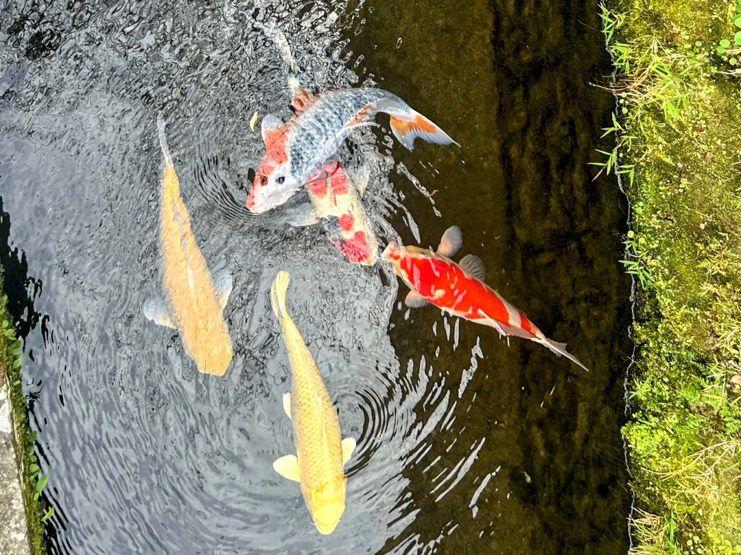 Obi-日南市必去景点