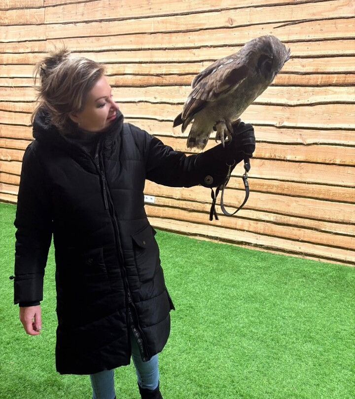 Birds@Work-Berkel en Rodenrijs必去景点