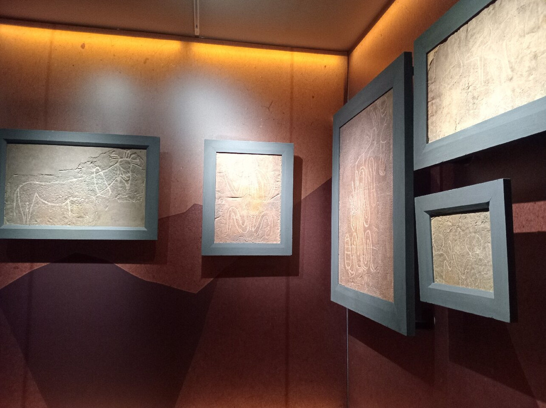 Musée Public National Bardo-阿尔及尔必去景点