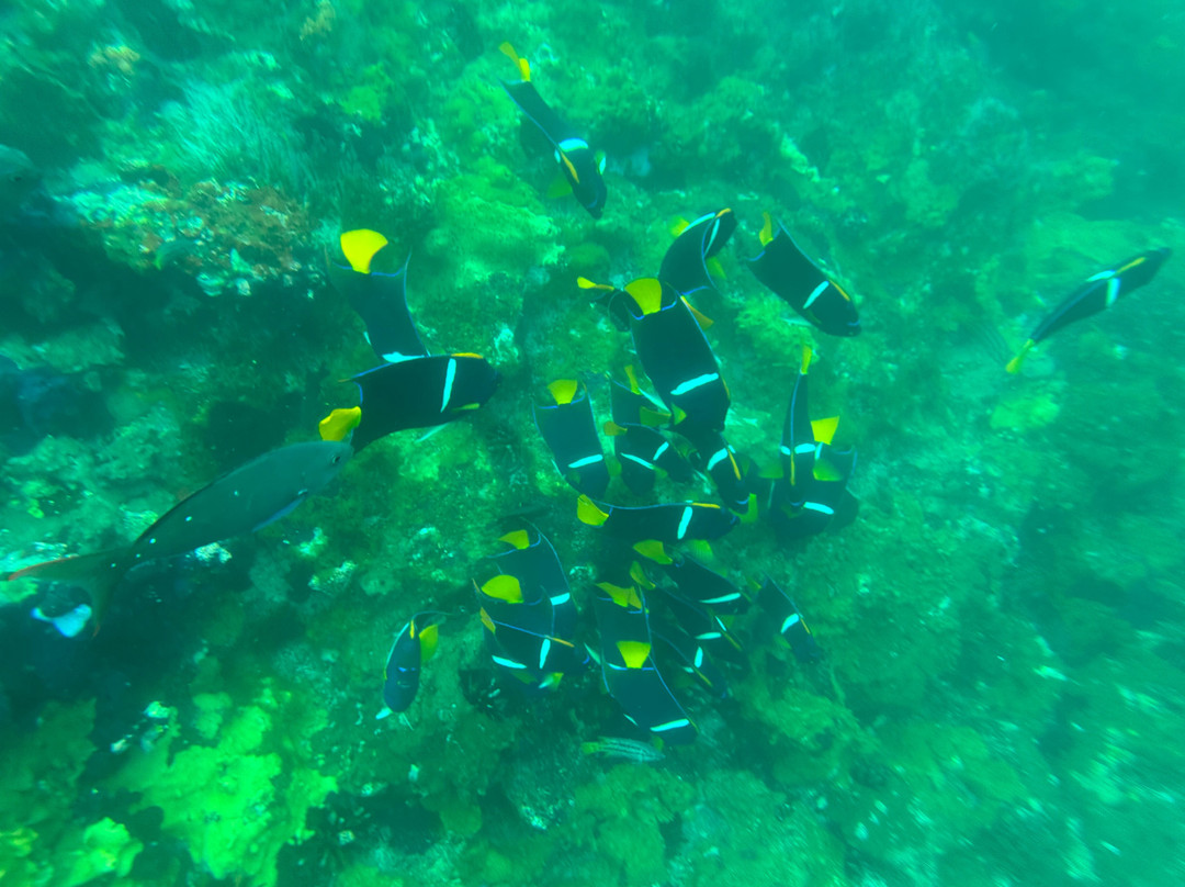 Eco-Challenger Galapagos Tour Agency-圣克里斯托瓦尔必去景点