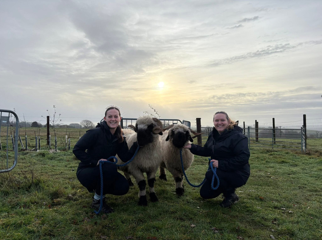 Marvellous Miniatures And Friends-Husthwaite必去景点