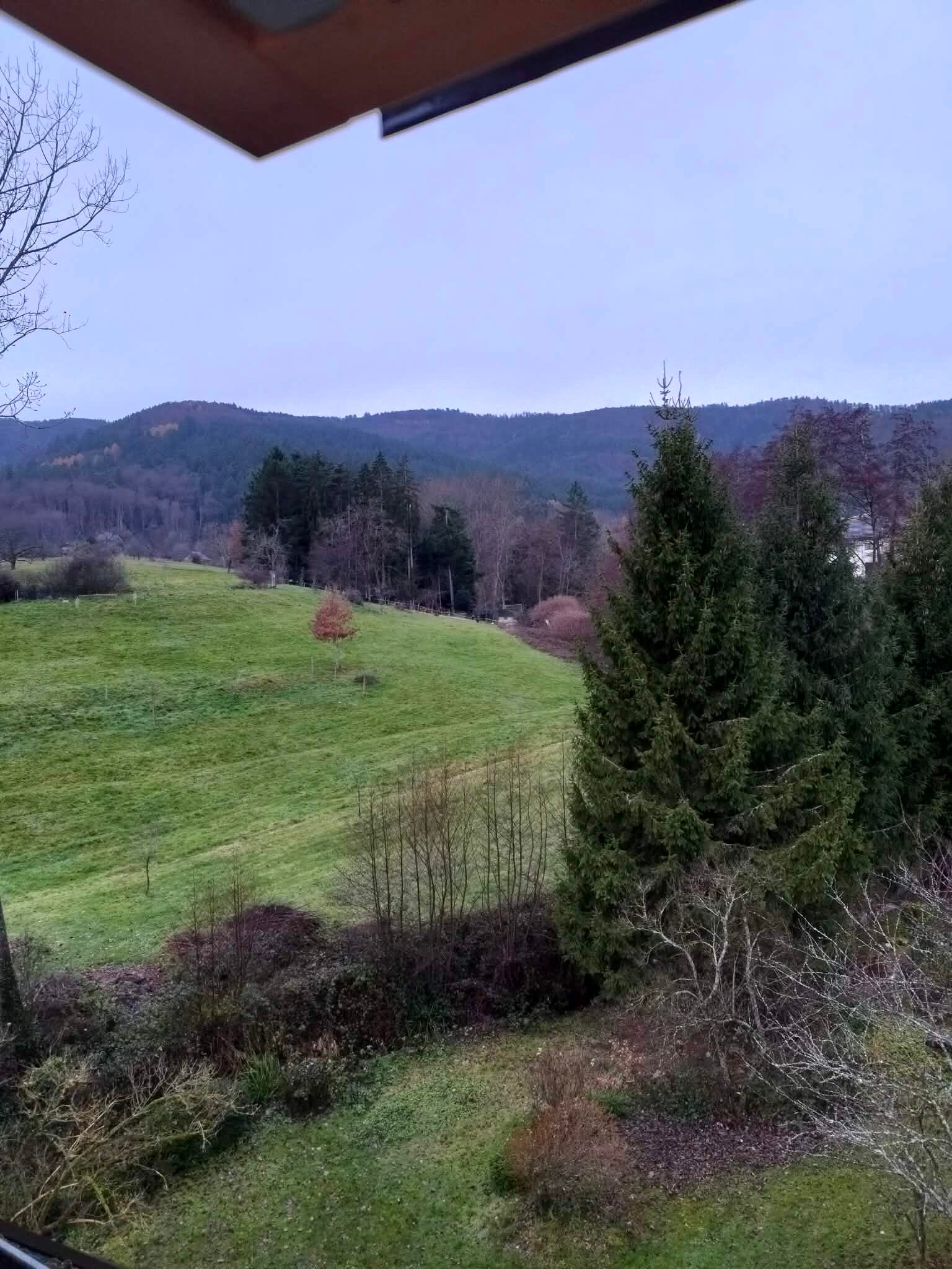 Hôtel-restaurant A L'arbre Vert-官方