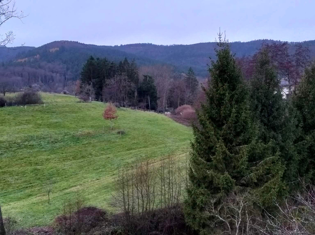 Hôtel-restaurant A L'arbre Vert主图