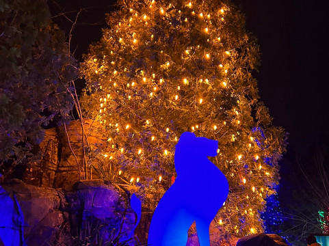 Stone Zoo-Stoneham必去景点