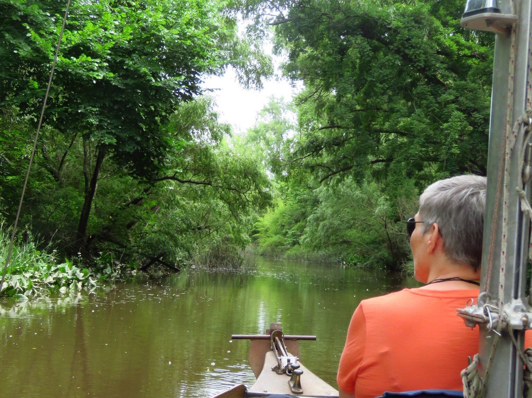 Delta Unplugged-蒂格雷必去景点