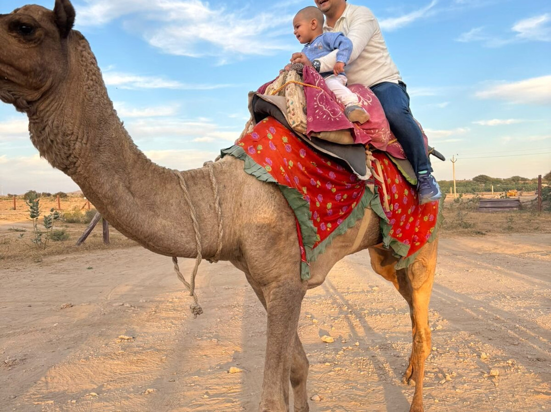 Hotel Lal Garh Fort And Palace主图