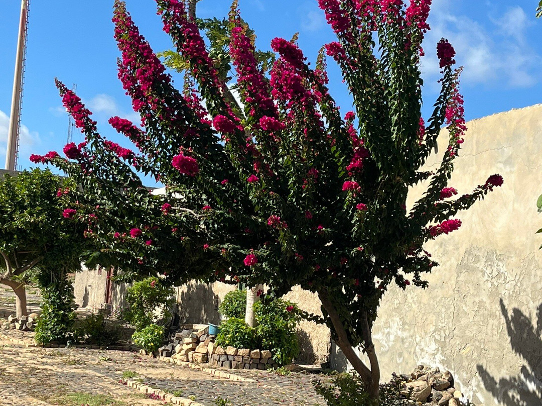 SolaCyberTours-萨尔雷必去景点