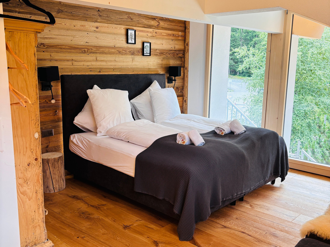 Hotel Ermitage Kandersteg主图