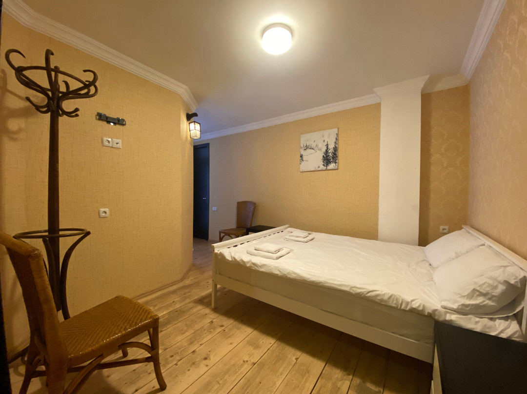 Art Villa Bakuriani主图