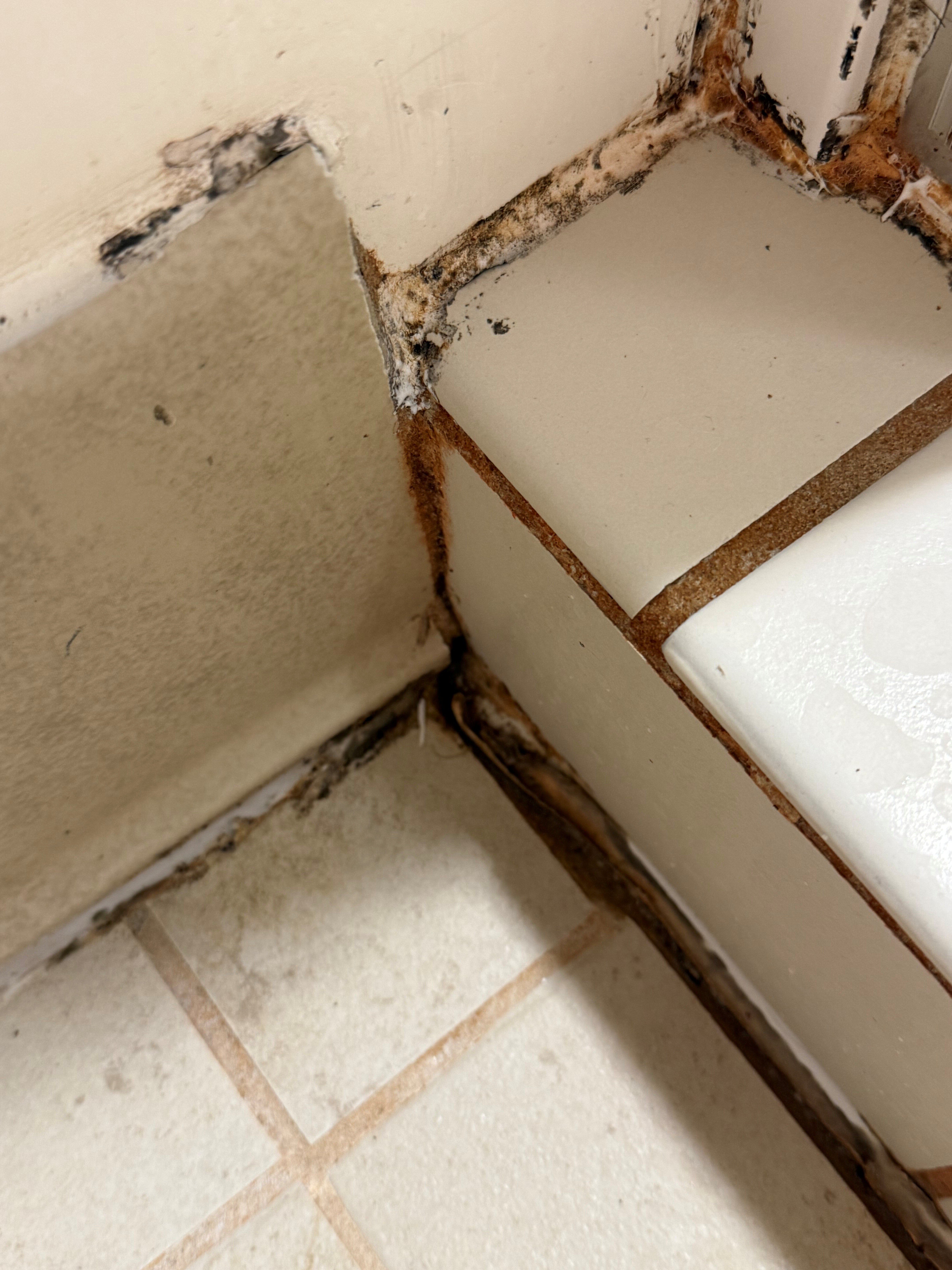 里奇蒙茵斯布鲁克希尔顿花园酒店-浴室