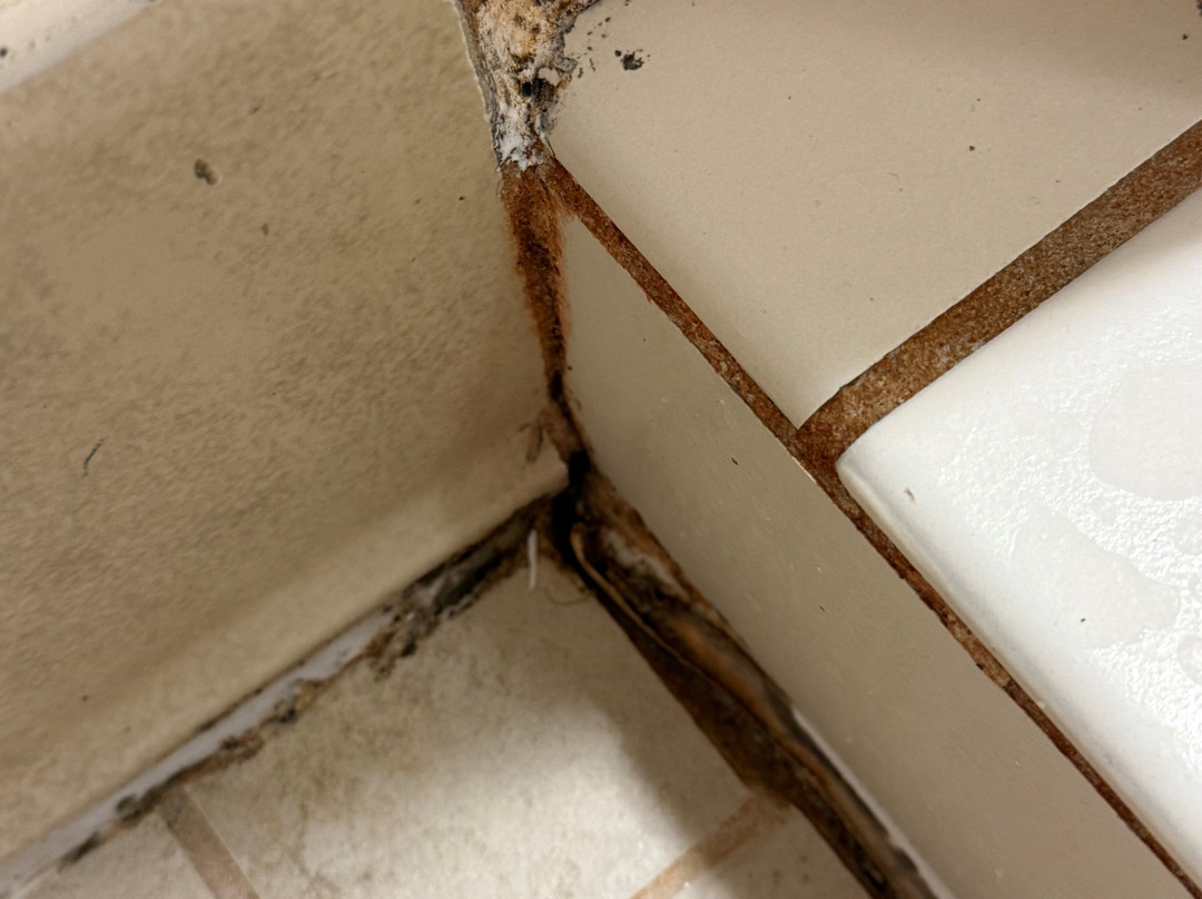 里奇蒙茵斯布鲁克希尔顿花园酒店主图