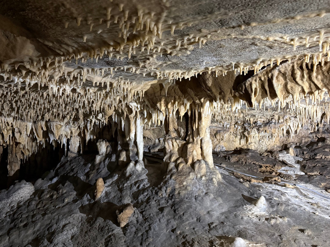 Caves du Pont d'Arcole