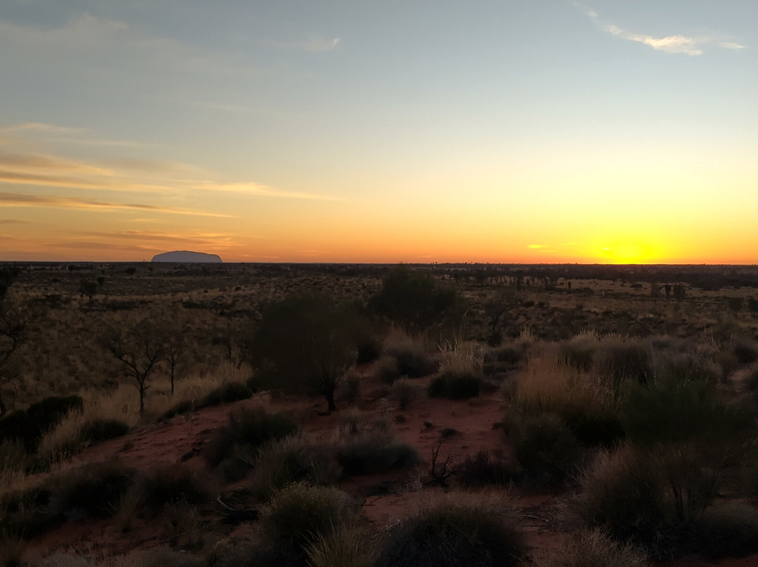 Mulgas Adventures-爱丽斯泉必去景点