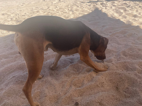 Nomad Experience-La Ventana必去景点