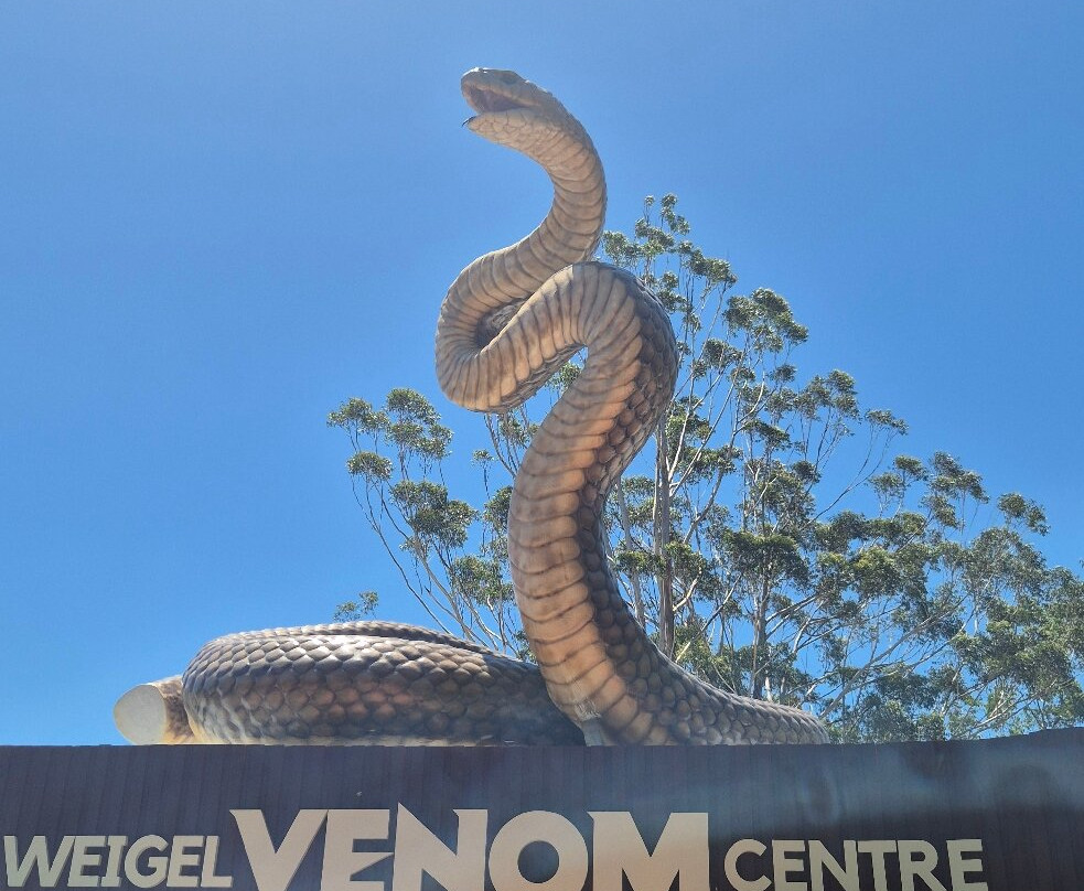 澳大利亚爬行动物园-Somersby必去景点