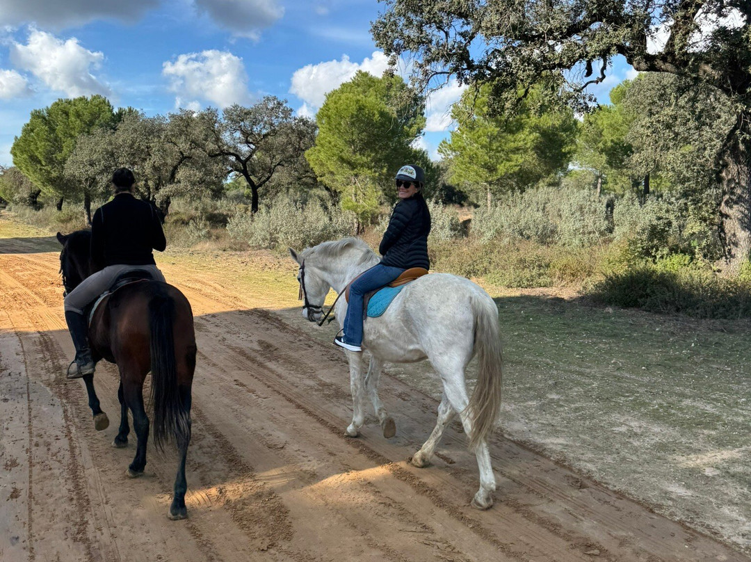 Dehesa Boyal-Villamanrique de la Condesa必去景点