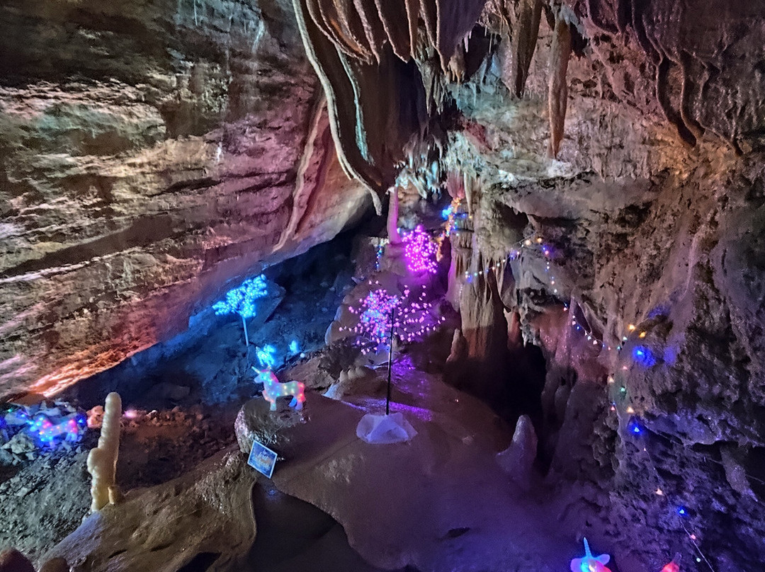 La Grotte de Trabuc-Mialet必去景点