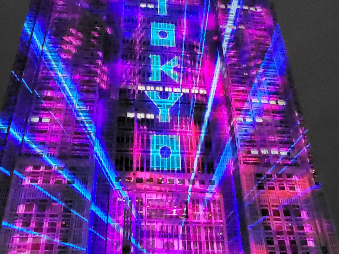 Tokyo Night & Light-Nishishinjuku必去景点