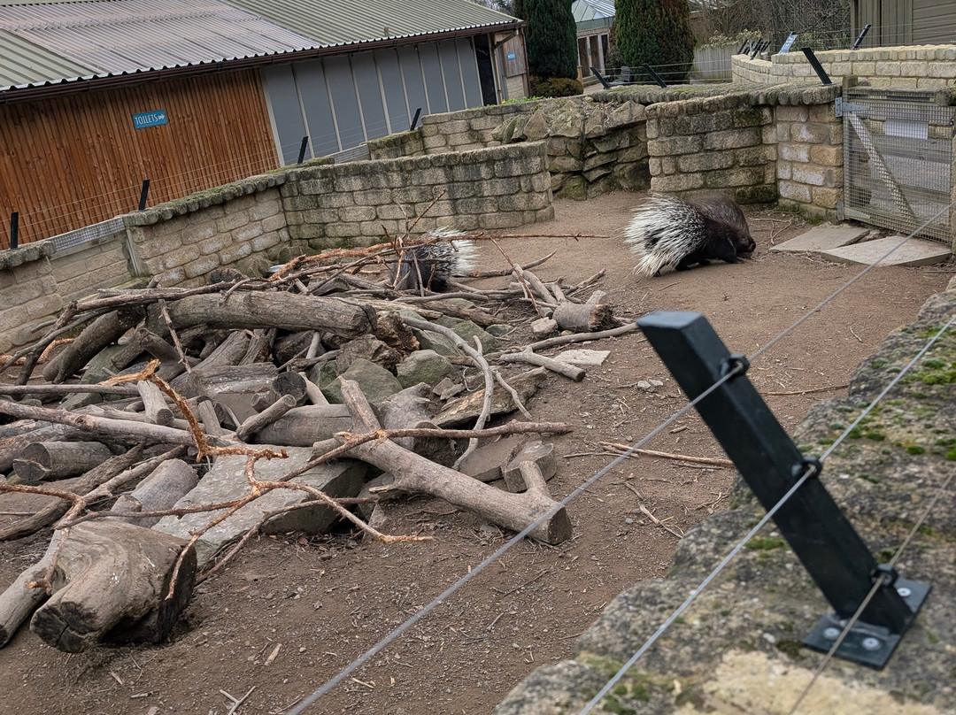 Ponderosa Zoo-Heckmondwike必去景点