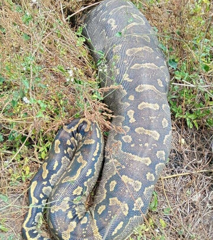 Crescent Island Game Sanctuary-奈瓦夏必去景点