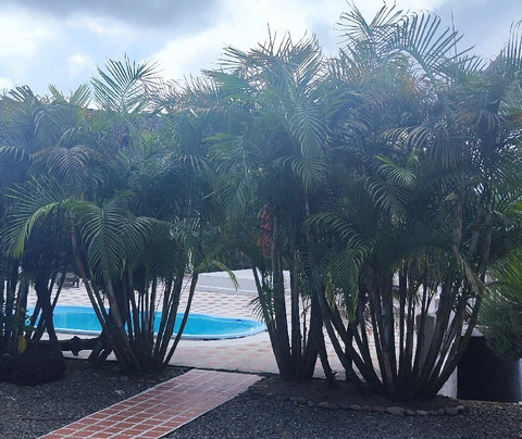 Finca Campestre La Adelita B&B主图