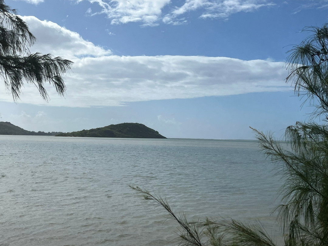 Paradisio Excursions Ile Maurice-大湾必去景点