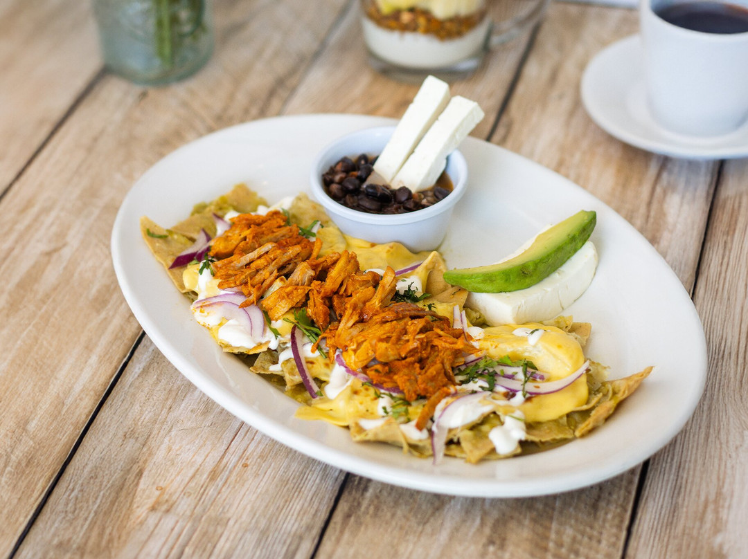 La Casa de los Abuelos - Olivar de los Padres