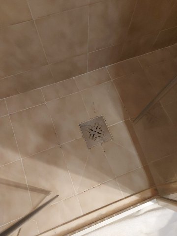 马里奥酒店-官方