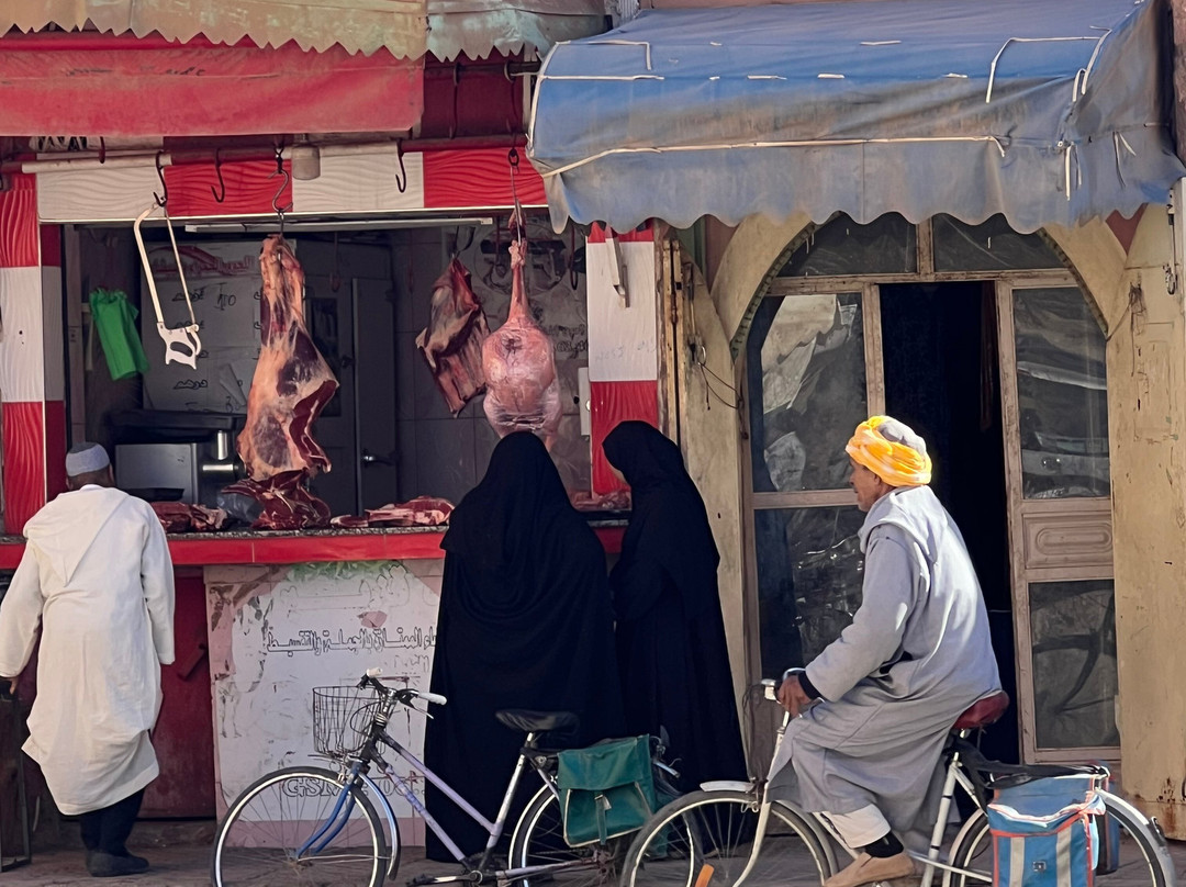 Redouane Sahara Tours-伊拉悉迪亚必去景点