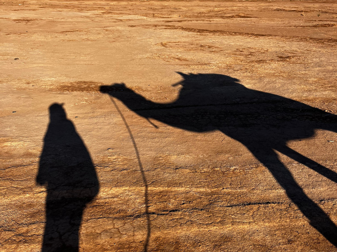 Sahara Steps-扎古拉必去景点