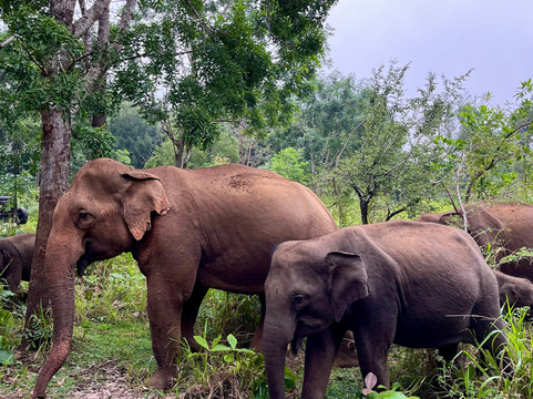 FIN Lanka Tours - Sri Lanka-加勒必去景点