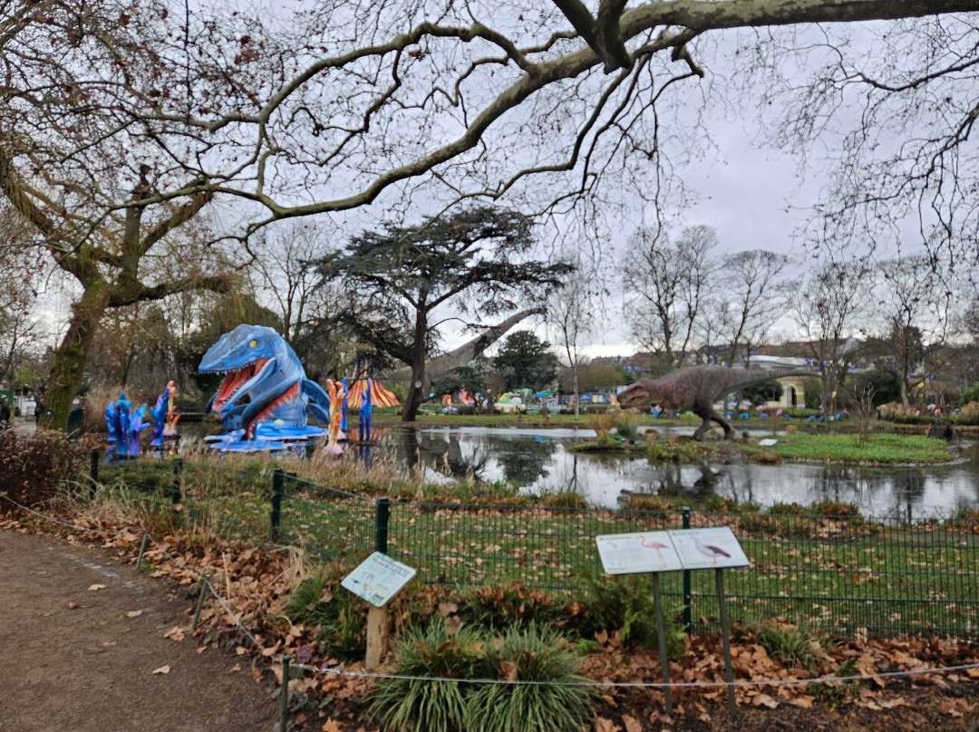 科隆动物园-科隆必去景点