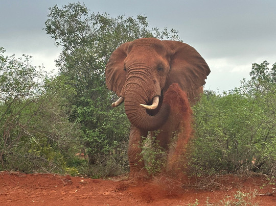 Enjoy Collection Tours and Safaris-马林地必去景点